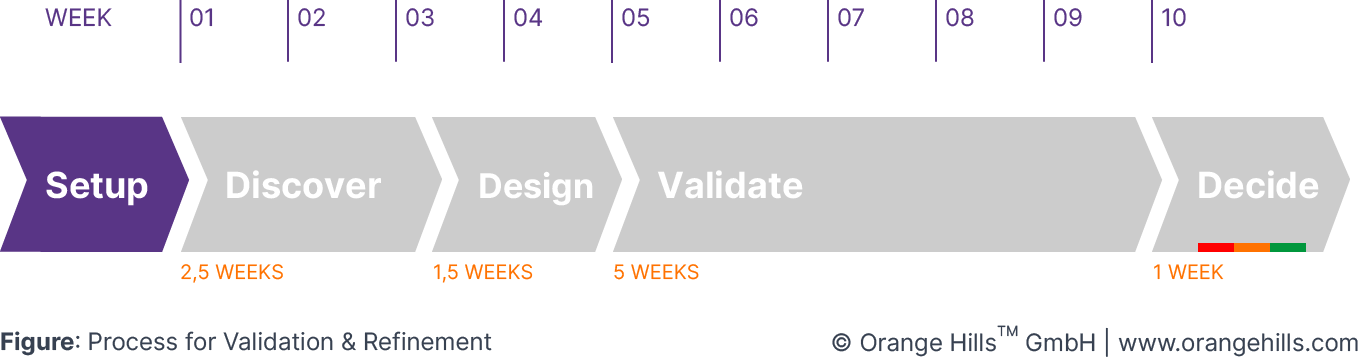 Setup Phase of Business Design Process